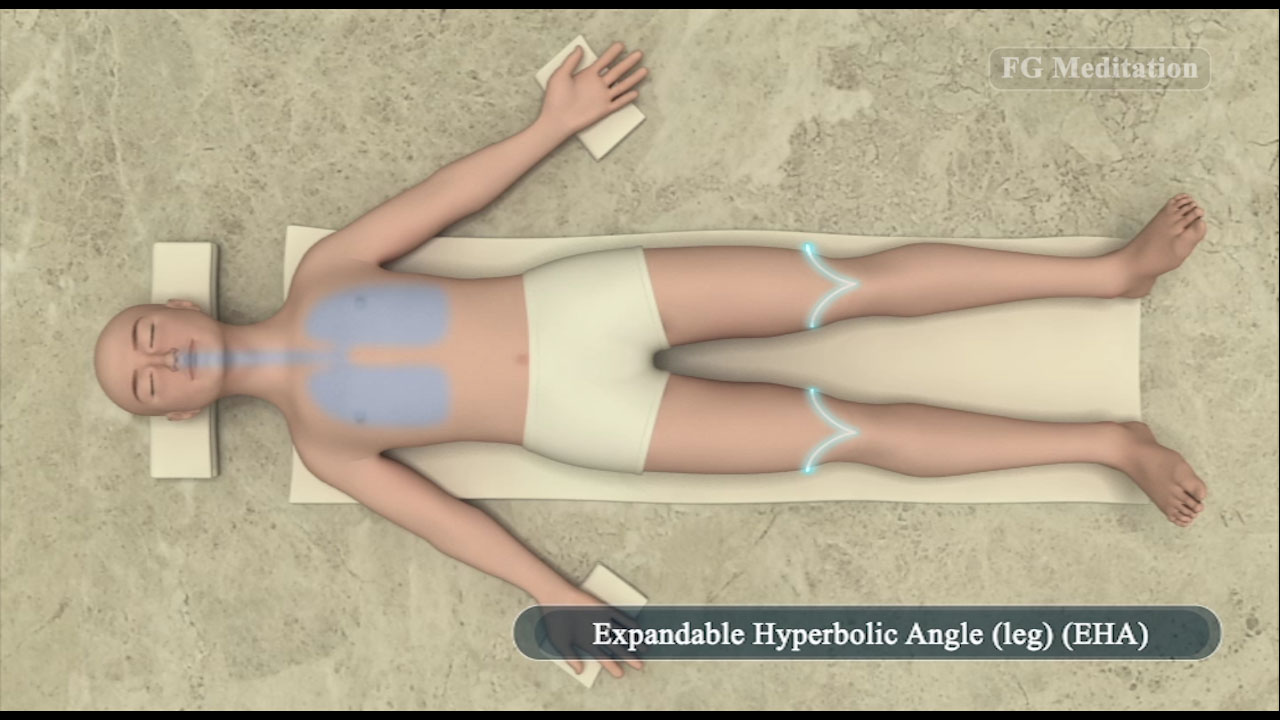 Expandable Hyperbolic Angle ( leg ) ( EHA )