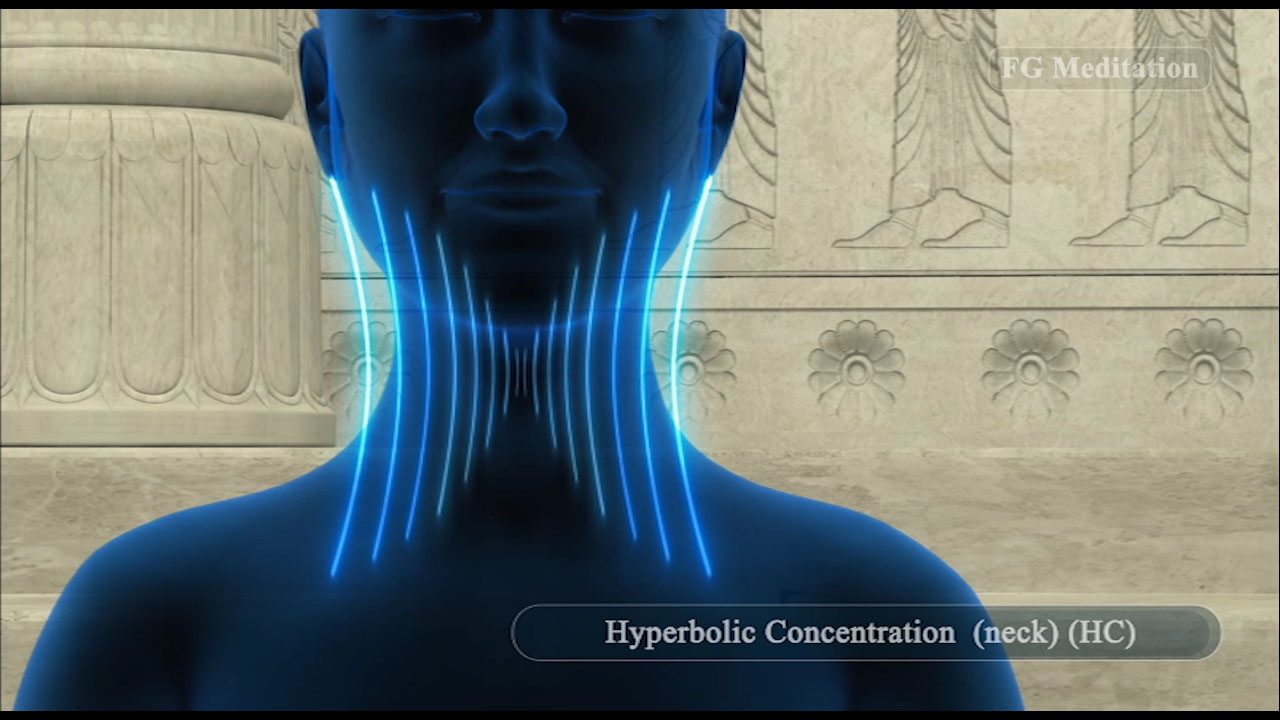 Hyperbolic Concentration ( neck ) ( HC )