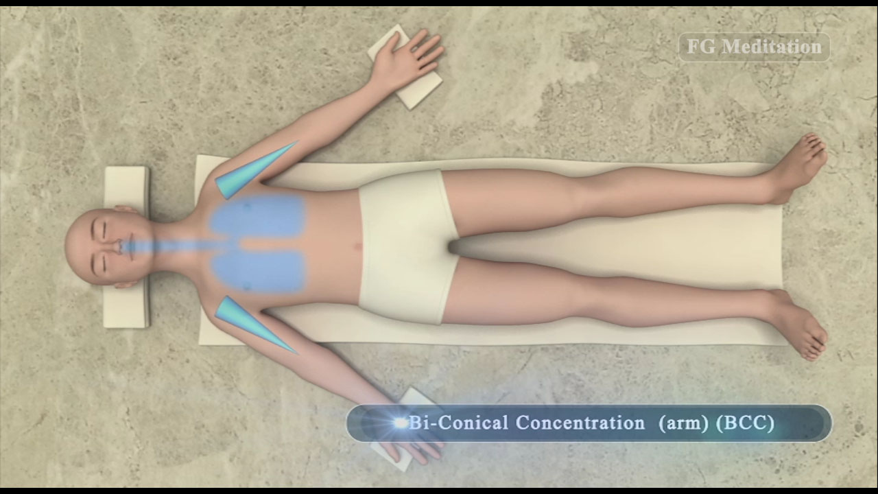 Bi-Conical Concentration ( arm ) ( BCC )