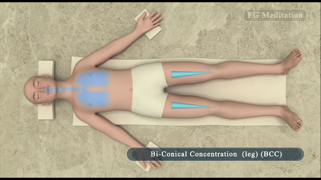 Bi-Conical Concentration ( leg ) ( BCC )